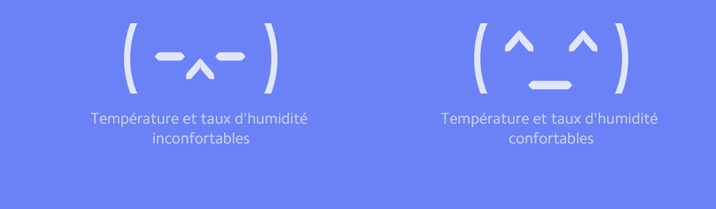 Xiaomi Temperature Bluetooth